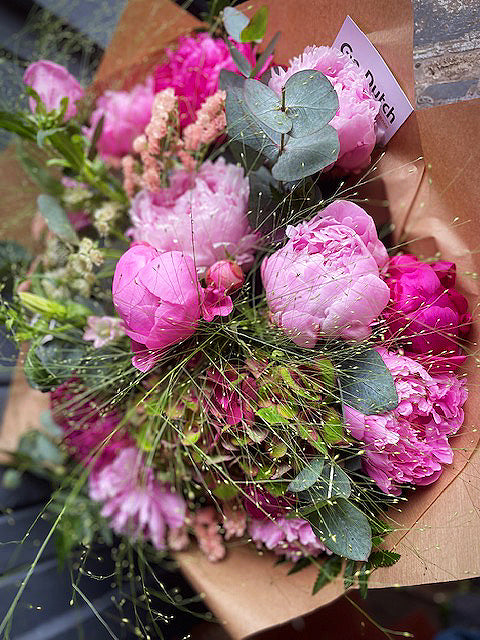 Peony Dreams