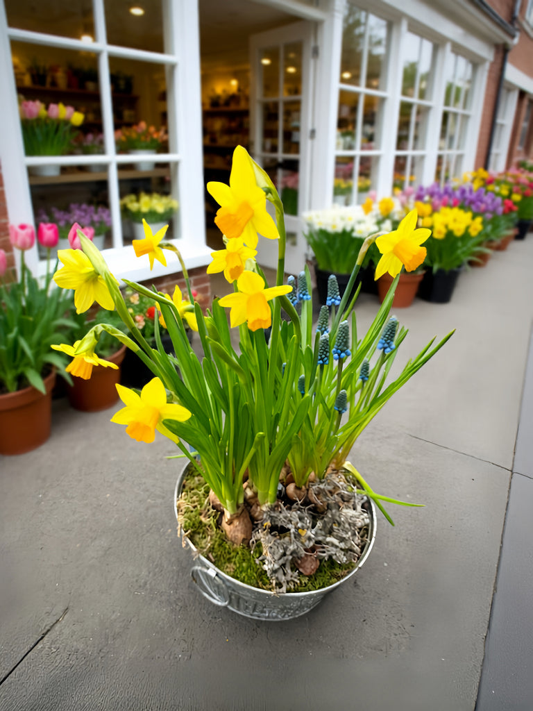 Drop In Bulb Planter