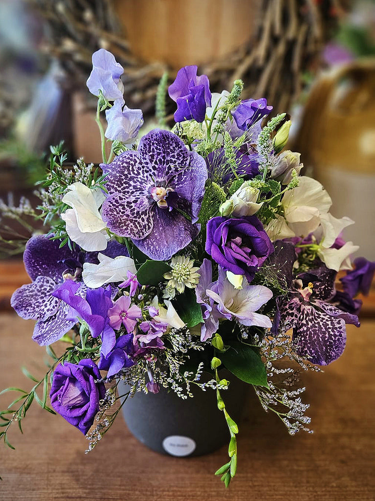 The Vanda Paradise