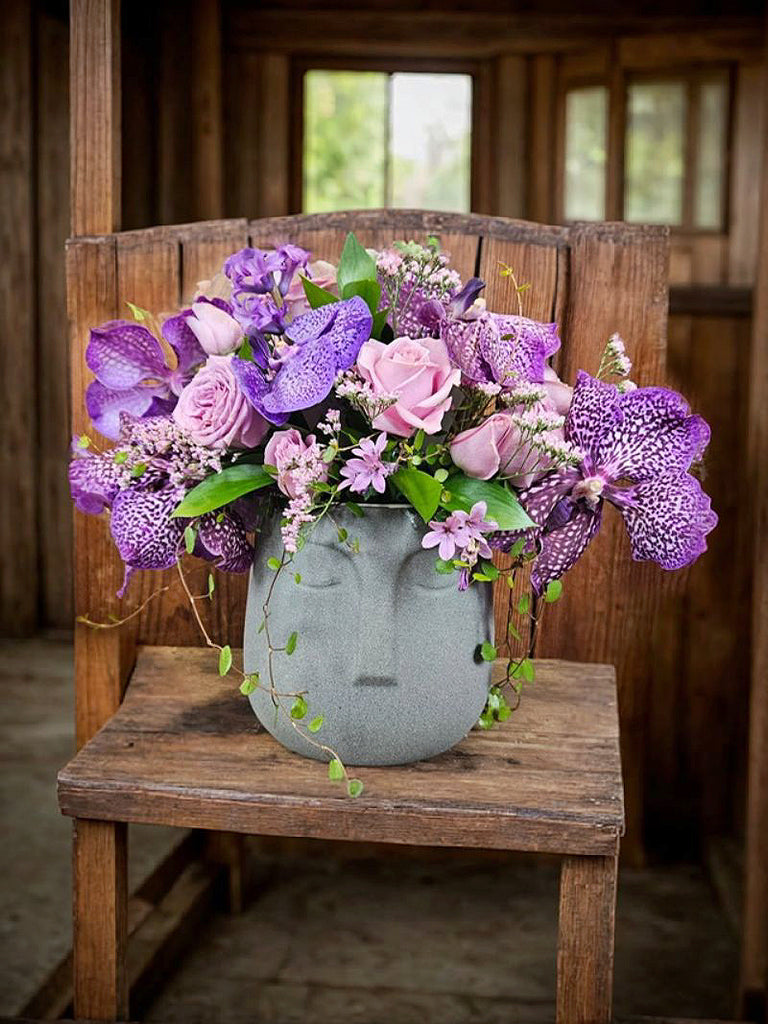 The Vanda Paradise