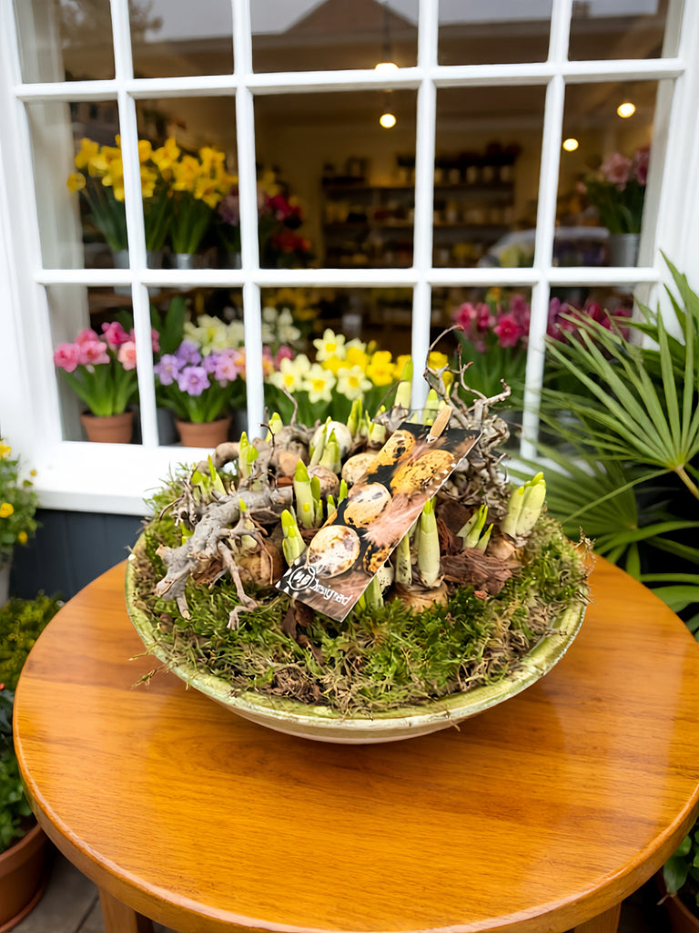 Spring in Stone Boyle