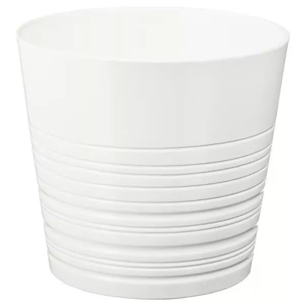 Pot