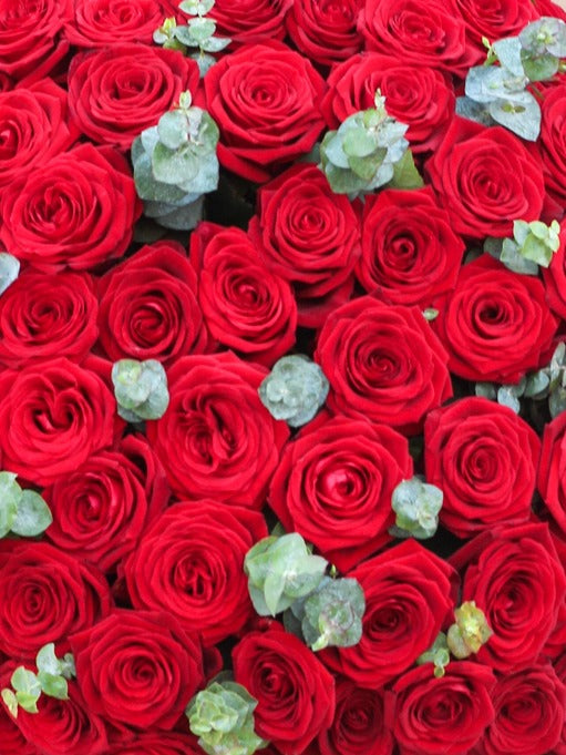 Valentine Premium Roses 100x ❤️