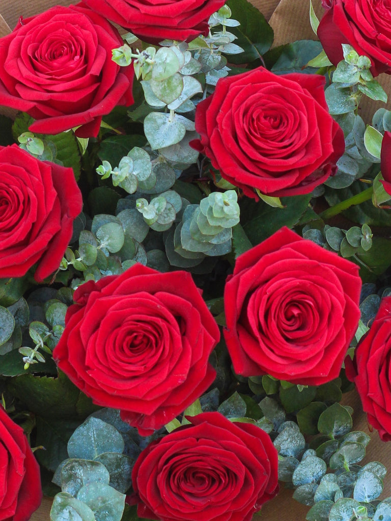 12 Red Rose Hand-tied