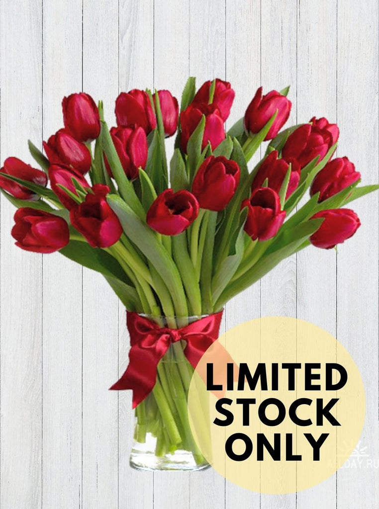 20 Red Tulips