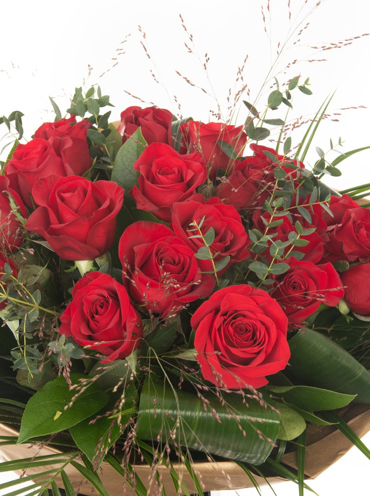 Red Roses 24x ❤️