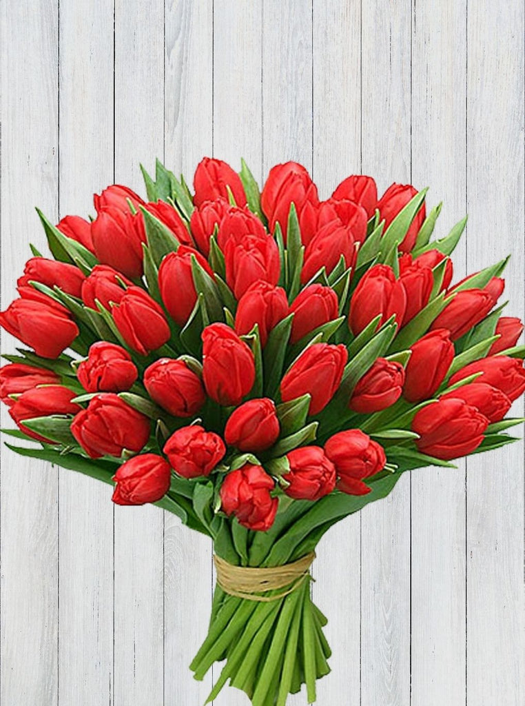40 Red Tulips