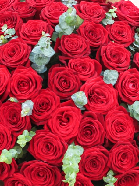Valentine Premium Roses 50x ❤️