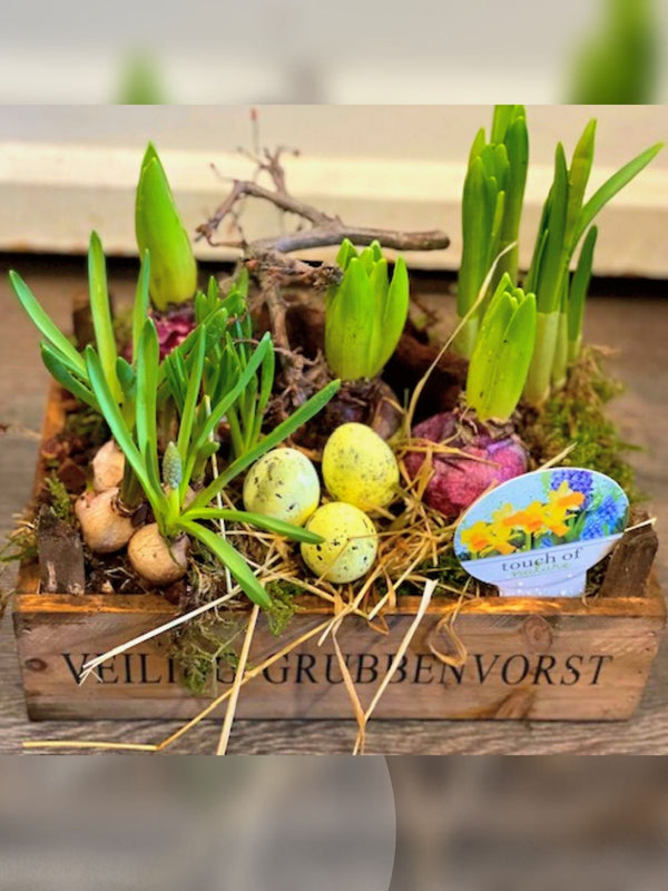 Easter Box Tray