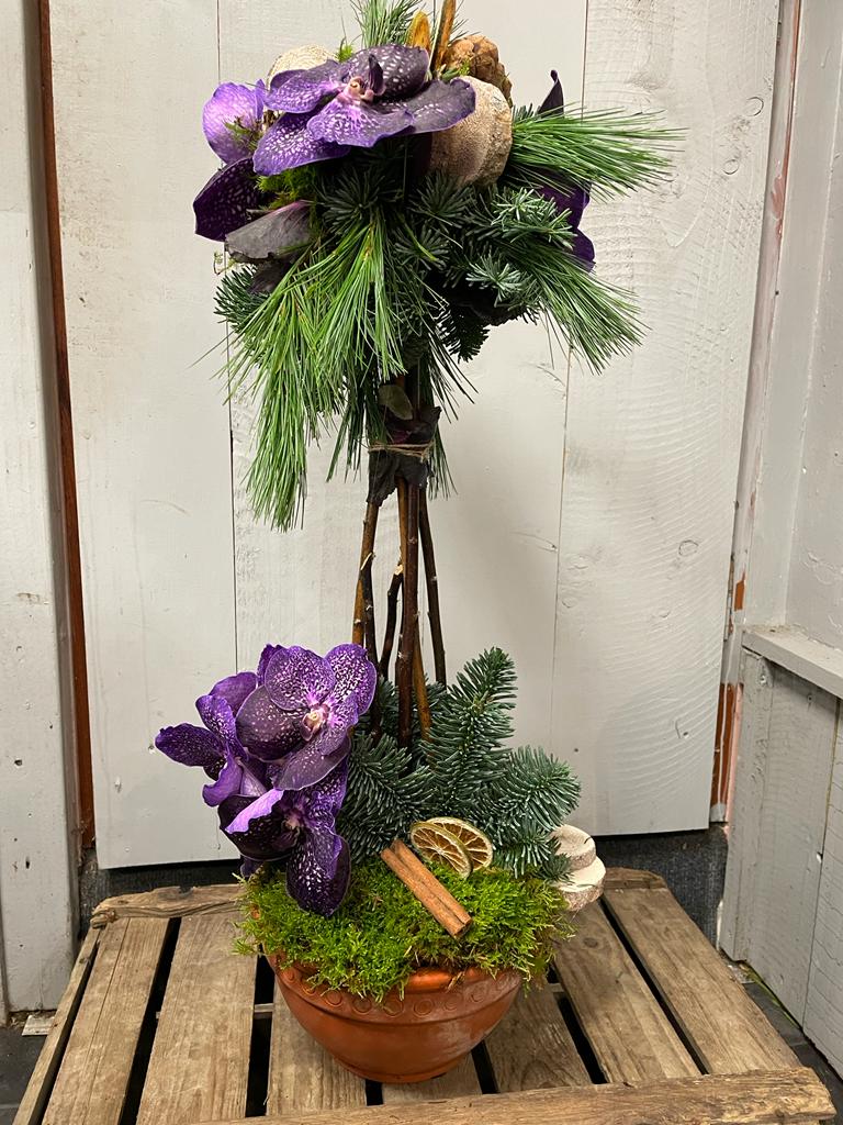 Purple Winter Garden