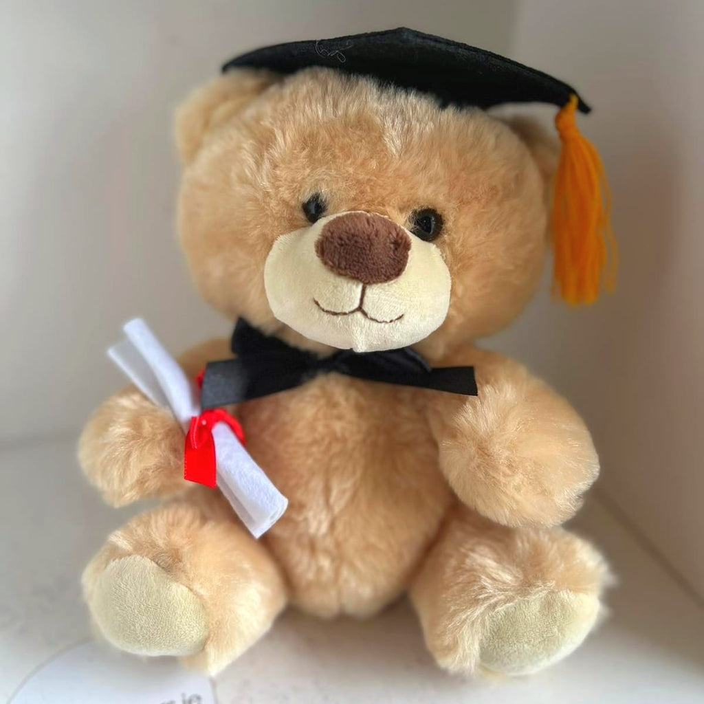 Teddy 🎓