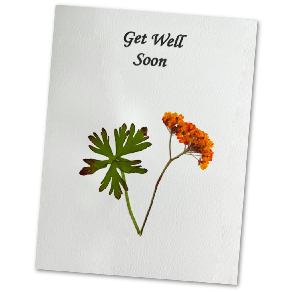 Get Well Greetings Card